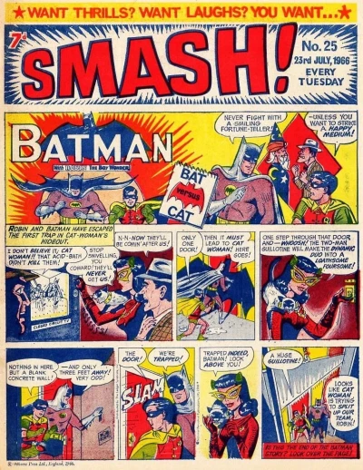 Cover of Issue #25