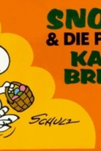 Kaum zu Bremsen