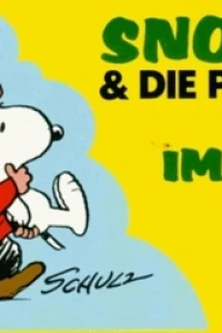 Voll im Griff