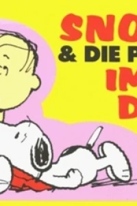 Immer Dabei