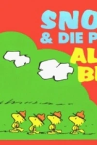 Allzeit Bereit