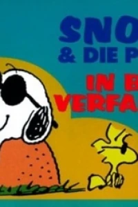 In Bester Verfassung