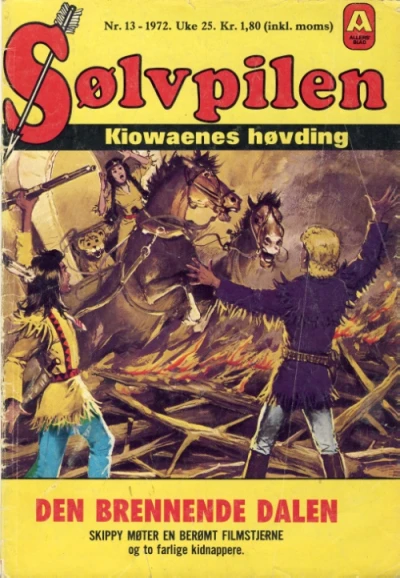 Cover of Issue #197213