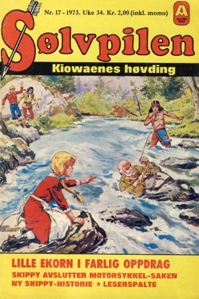 Cover of Issue #197317
