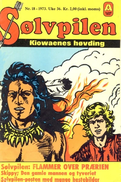 Cover of Issue #197318