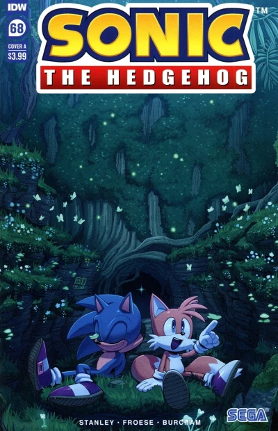 Cover of The Protector