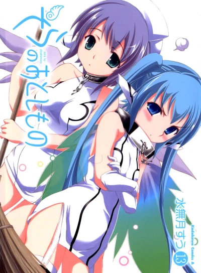 Cover of Volume 13