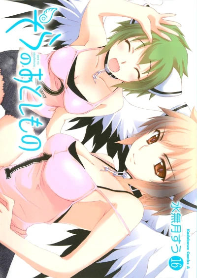 Cover of Volume 16