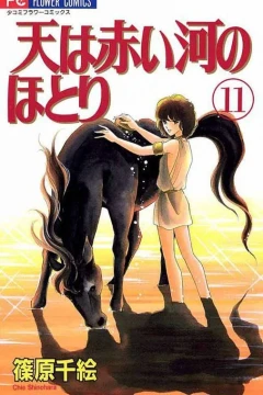 Volume 11