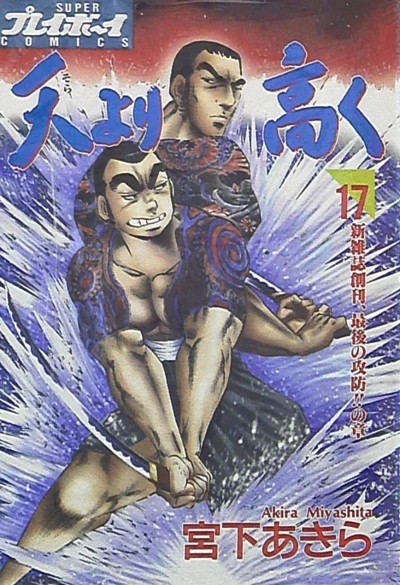 Cover of Vol. 17