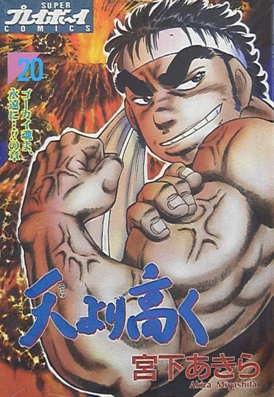 Cover of Vol. 20