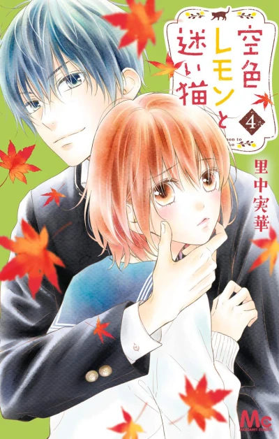 Cover of Vol. 4