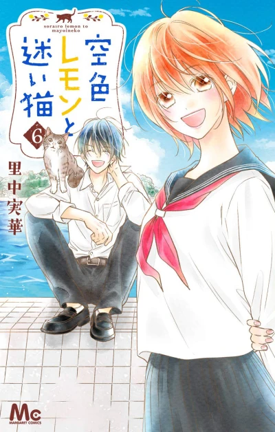 Cover of Vol. 6
