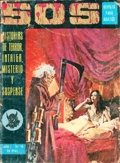 Cover of Issue #13