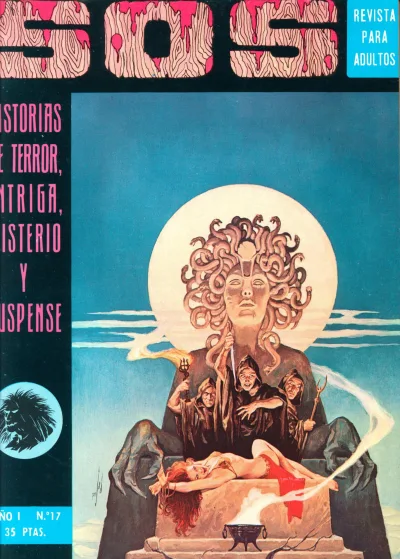 Cover of Issue #17