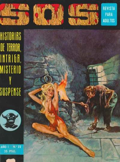 Cover of Issue #22