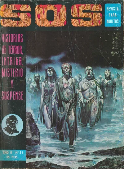 Cover of Issue #25