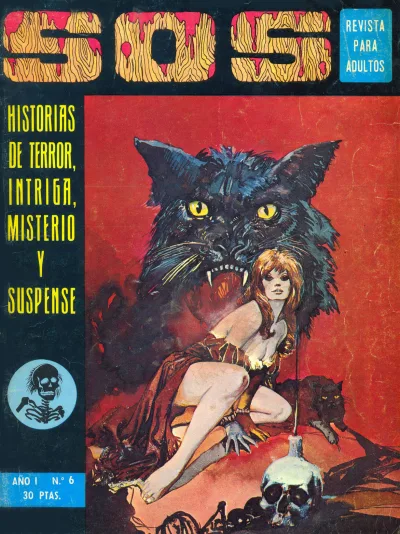 Cover of Issue #6
