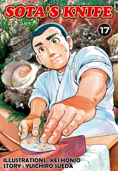 Cover of Vol. 17