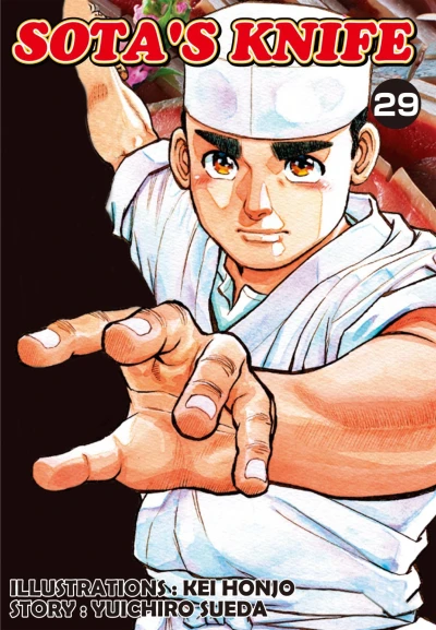 Cover of Vol. 29