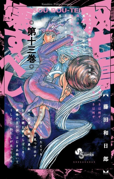 Cover of Vol. 13