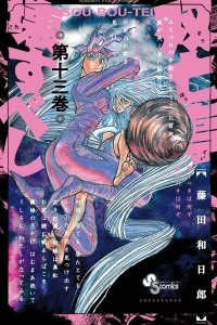 Vol. 13