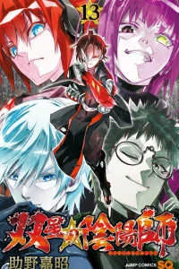 Vol. 13
