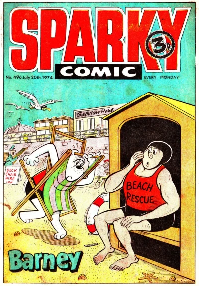Cover of Issue #496