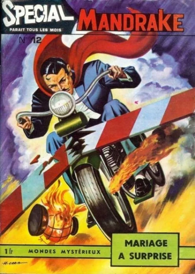 Cover of Mariage a Surprise