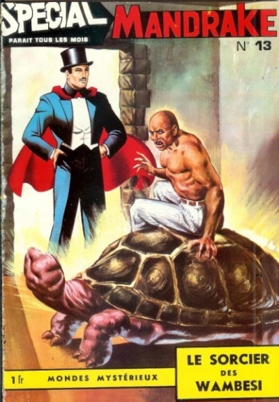 Cover of Le Sorcier des Wambesi