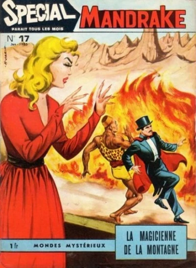 Cover of La Magicienne de la Montagne