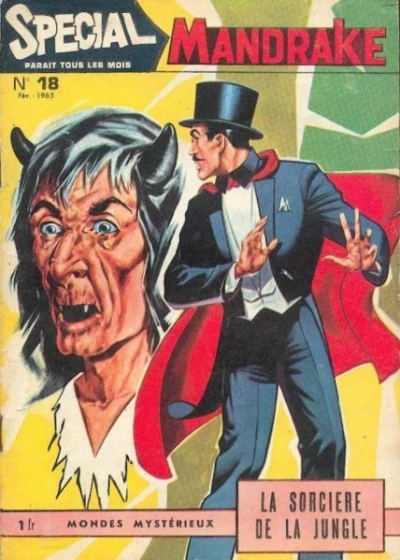 Cover of La Sorciere de la Jungle