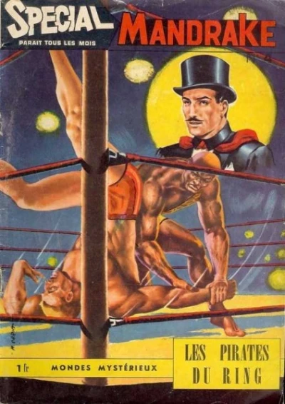 Cover of Les Pirates du Ring