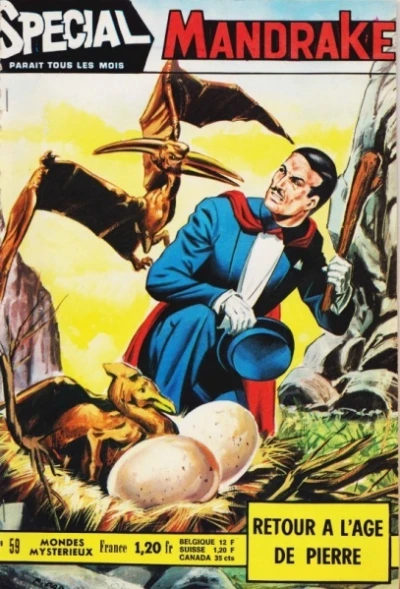 Cover of Retour a L'Age de Pierre