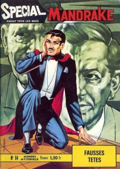 Cover of Fausses Tetes