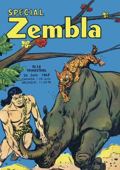 Cover of Issue #13