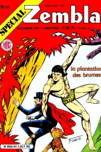 La plantation des brumes