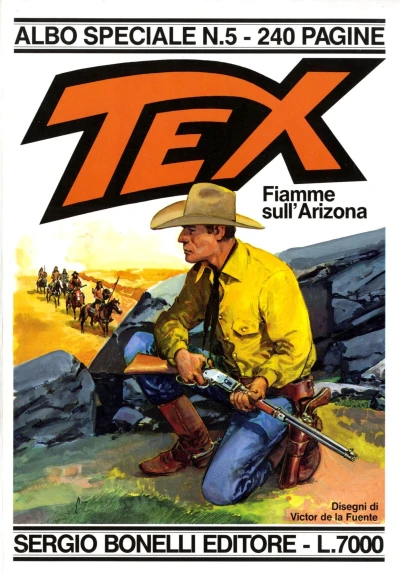 Cover of Fiamme sull'Arizona
