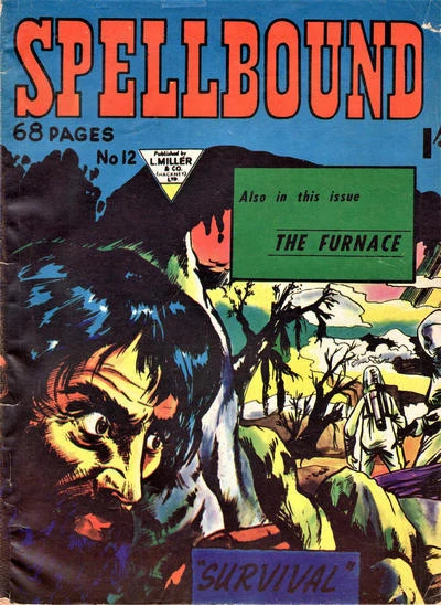 Cover of Issue #12