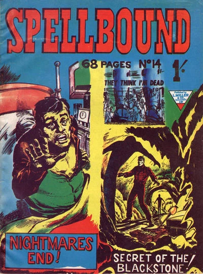 Cover of Issue #14