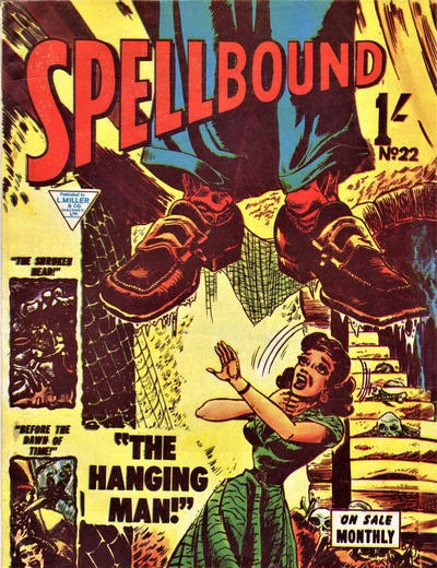 Cover of Issue #22