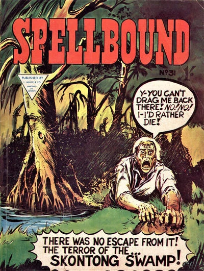 Cover of Issue #31