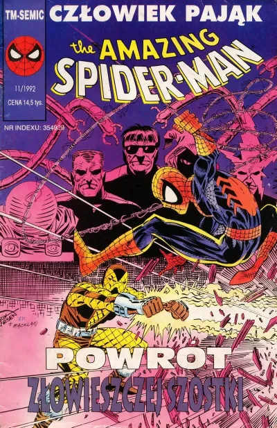 Cover of Issue #29