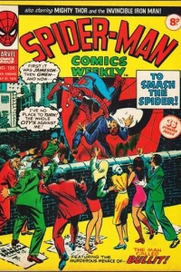 To Smash the Spider!