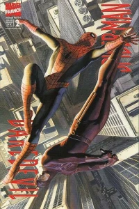 Daredevil/Spider-Man: Unusual suspects