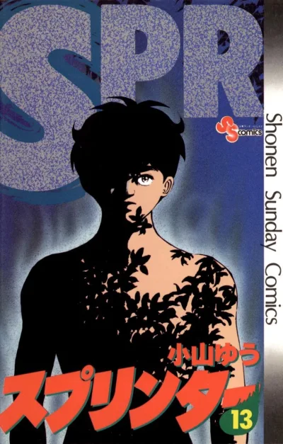 Cover of Vol. 13