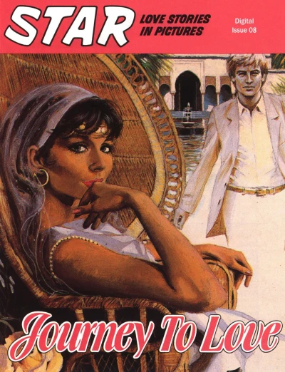 Cover of Journey To Love
