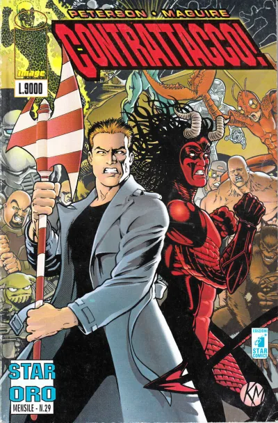 Cover of Issue #29