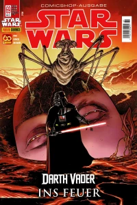 Darth Vader - Ins Feuer