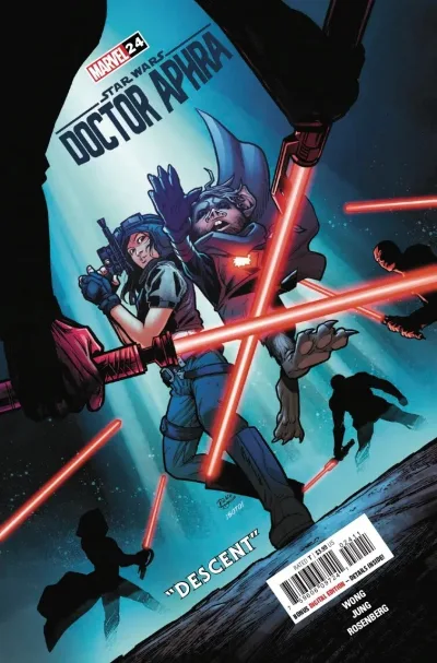 Cover of Descent